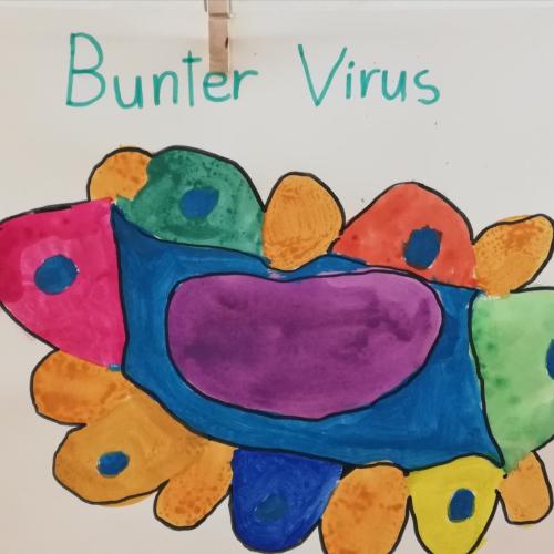 Bunter Virus