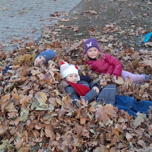 Bild