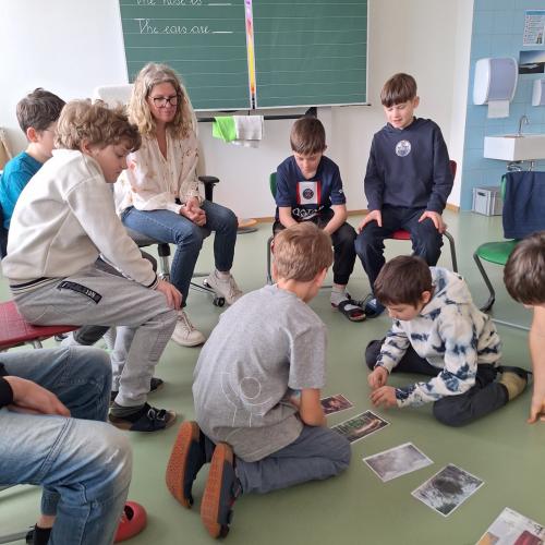 Bild