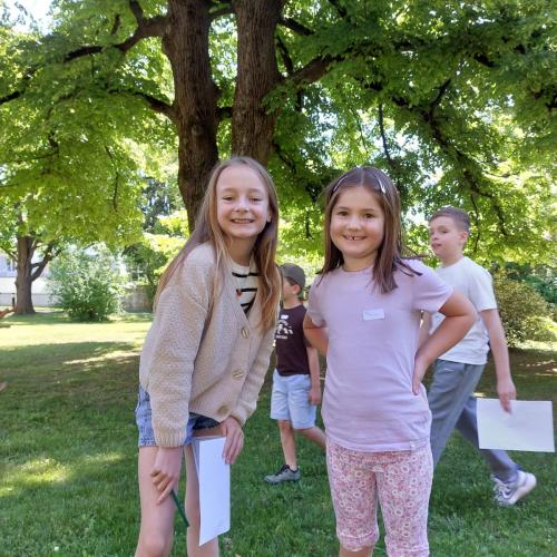 Bild