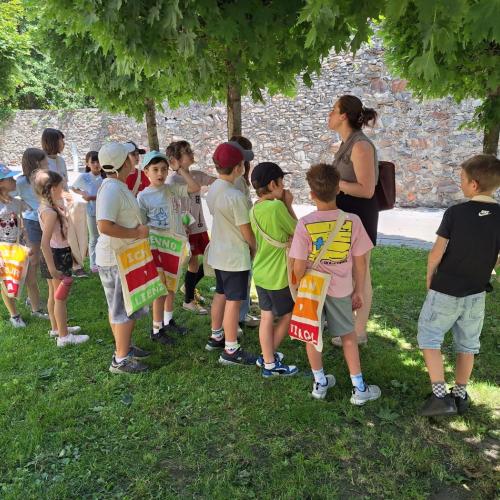 Bild