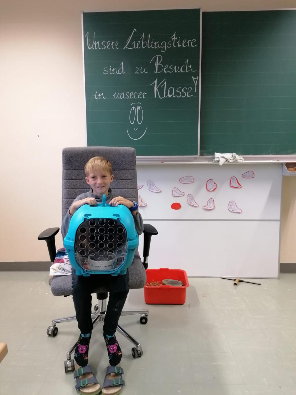 Tiere