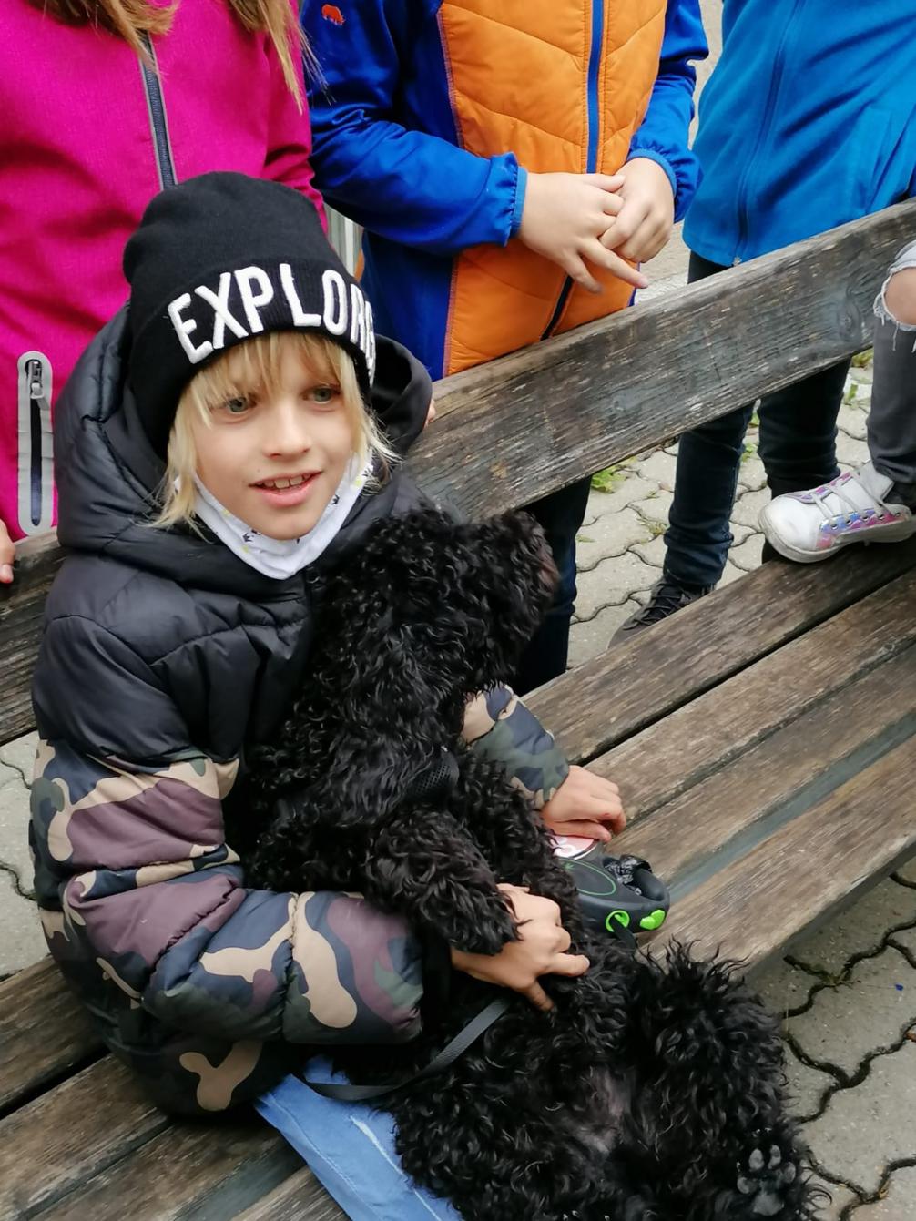 Tiere